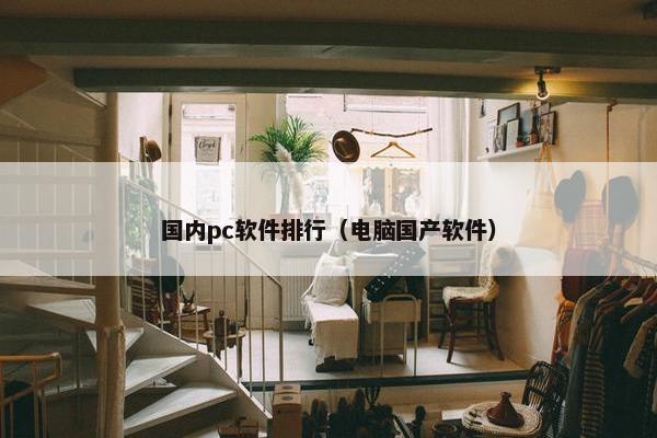 国内pc软件排行（电脑国产软件）