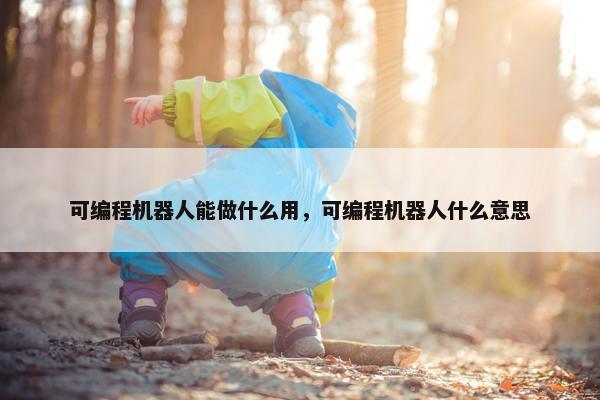 可编程机器人能做什么用，可编程机器人什么意思