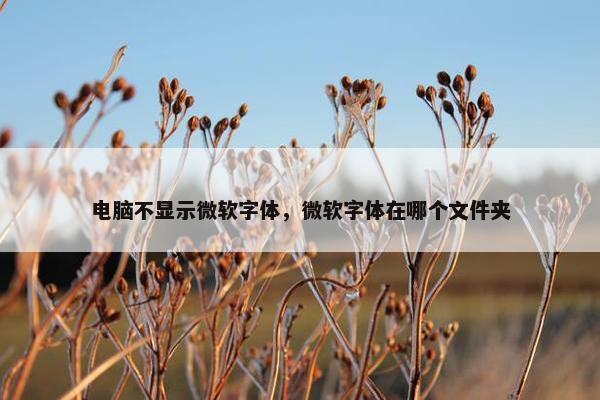 电脑不显示微软字体，微软字体在哪个文件夹