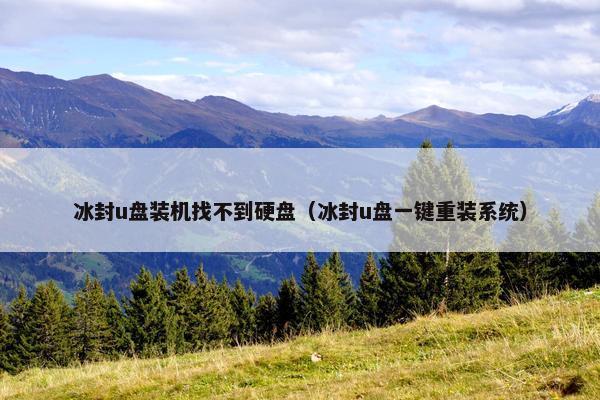 冰封u盘装机找不到硬盘（冰封u盘一键重装系统）