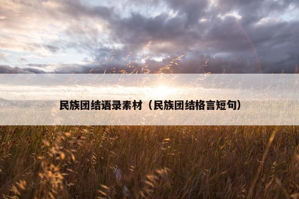 民族团结语录素材（民族团结格言短句）