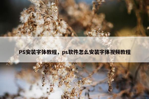 PS安装字体教程，ps软件怎么安装字体视频教程