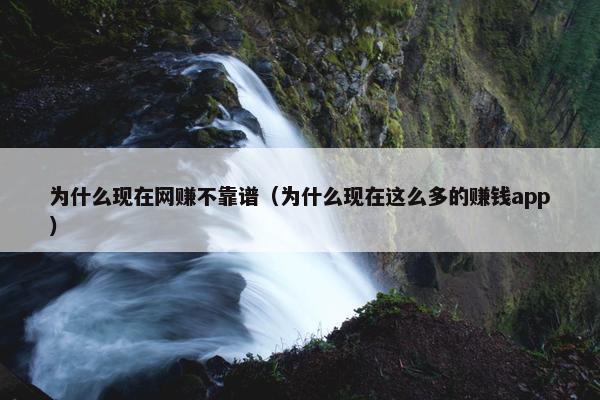 为什么现在网赚不靠谱（为什么现在这么多的赚钱app）