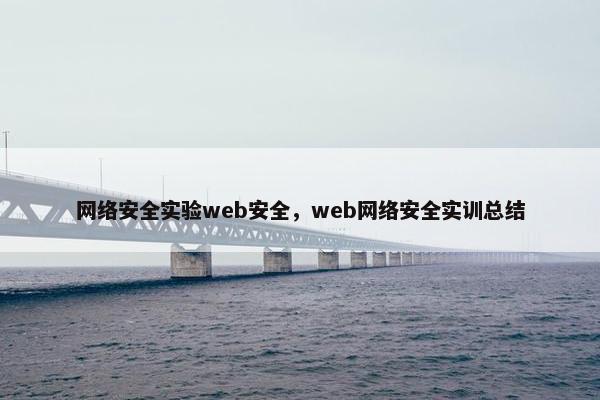 网络安全实验web安全，web网络安全实训总结
