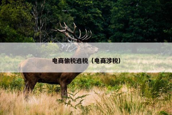 电商偷税逃税（电商涉税）