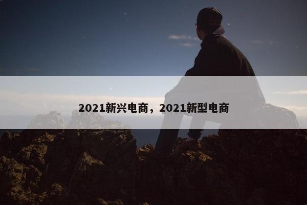 2021新兴电商，2021新型电商