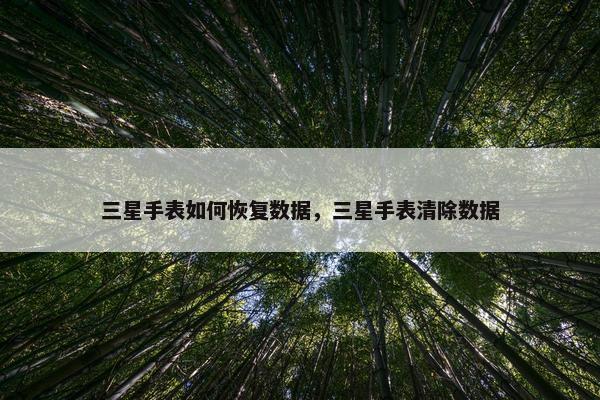 三星手表如何恢复数据，三星手表清除数据