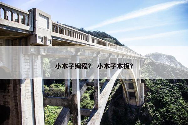 小木子编程？ 小木子木板？
