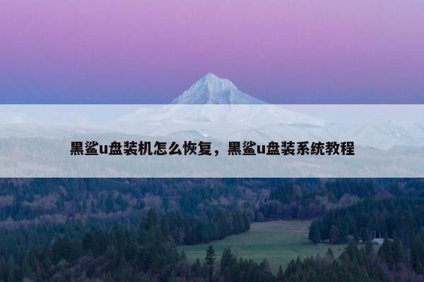 黑鲨u盘装机怎么恢复，黑鲨u盘装系统教程