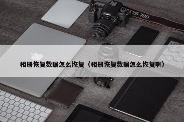 相册恢复数据怎么恢复（相册恢复数据怎么恢复啊）