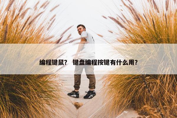 编程键鼠？ 键盘编程按键有什么用？