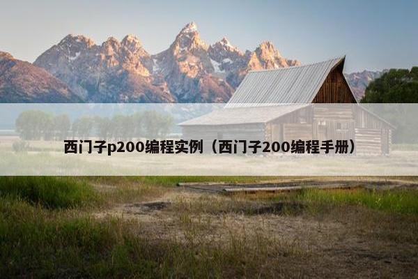 西门子p200编程实例（西门子200编程手册）