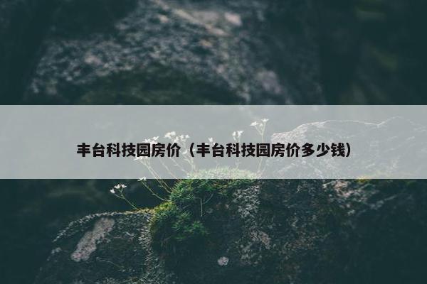 丰台科技园房价（丰台科技园房价多少钱）