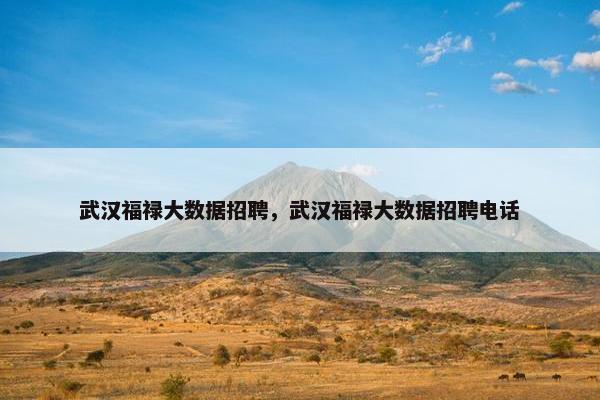 武汉福禄大数据招聘，武汉福禄大数据招聘电话