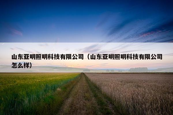 山东亚明照明科技有限公司（山东亚明照明科技有限公司怎么样）
