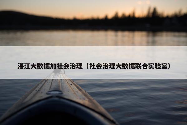 湛江大数据加社会治理（社会治理大数据联合实验室）