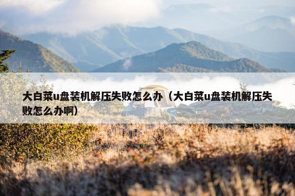 大白菜u盘装机解压失败怎么办（大白菜u盘装机解压失败怎么办啊）