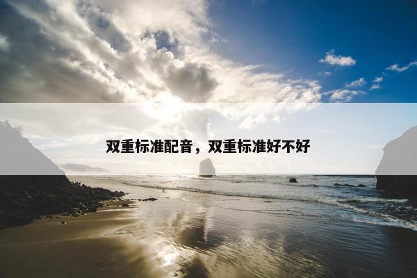 双重标准配音，双重标准好不好