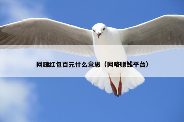 网赚红包百元什么意思（网咯赚钱平台）