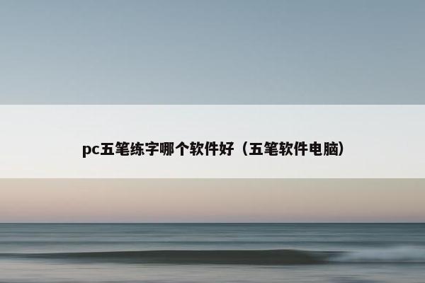 pc五笔练字哪个软件好（五笔软件电脑）