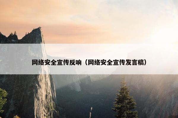 网络安全宣传反响（网络安全宣传发言稿）
