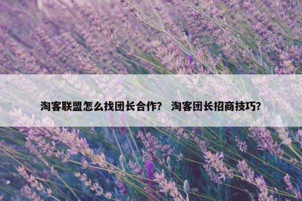 淘客联盟怎么找团长合作？ 淘客团长招商技巧？