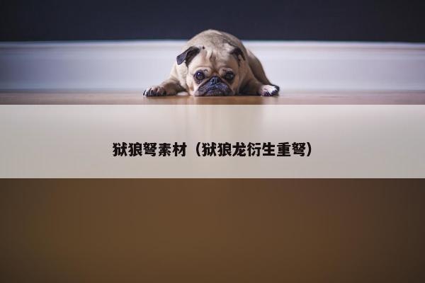 狱狼弩素材（狱狼龙衍生重弩）