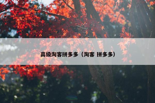 高级淘客拼多多（淘客 拼多多）