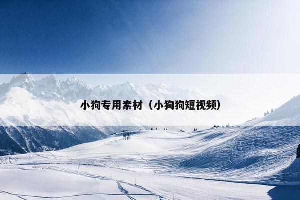 小狗专用素材（小狗狗短视频）