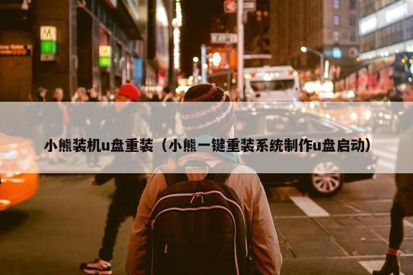 小熊装机u盘重装（小熊一键重装系统制作u盘启动）