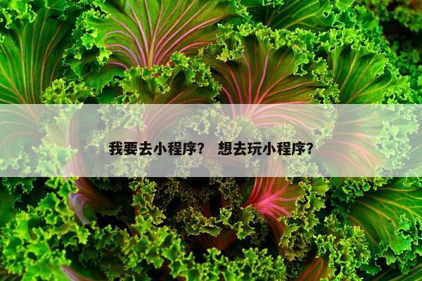 我要去小程序？ 想去玩小程序？
