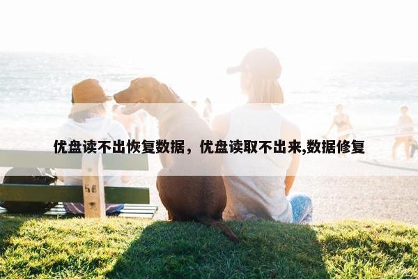 优盘读不出恢复数据，优盘读取不出来,数据修复