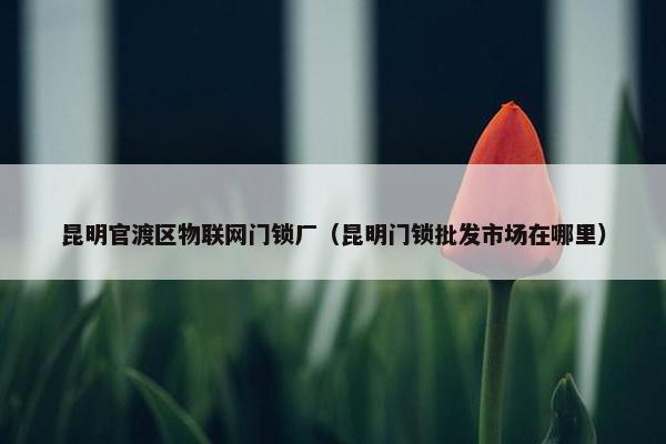 昆明官渡区物联网门锁厂（昆明门锁批发市场在哪里）