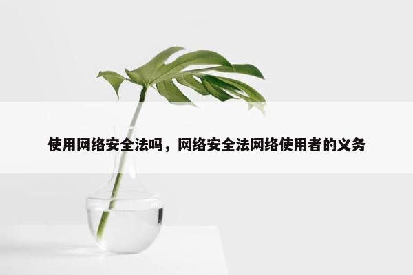 使用网络安全法吗，网络安全法网络使用者的义务
