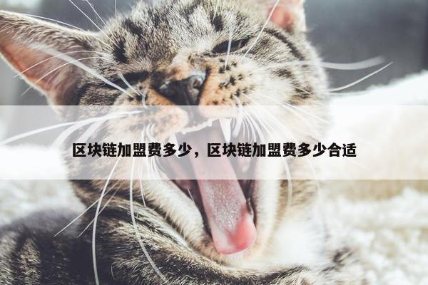 区块链加盟费多少，区块链加盟费多少合适