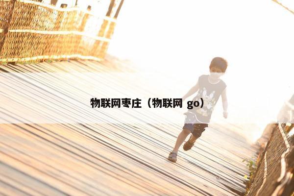 物联网枣庄（物联网 go）