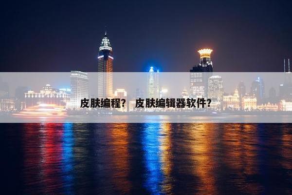 皮肤编程？ 皮肤编辑器软件？