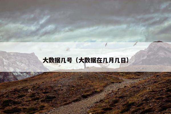 大数据几号（大数据在几月几日）