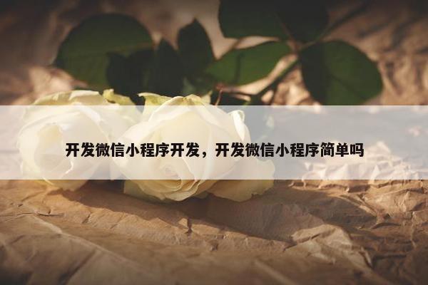 开发微信小程序开发，开发微信小程序简单吗
