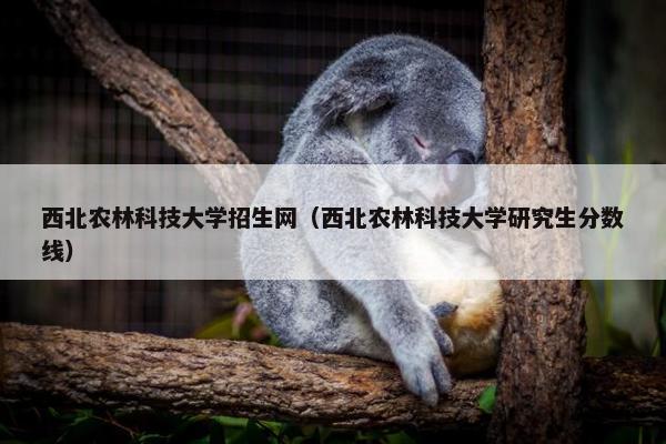 西北农林科技大学招生网（西北农林科技大学研究生分数线）