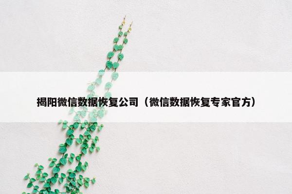 揭阳微信数据恢复公司（微信数据恢复专家官方）