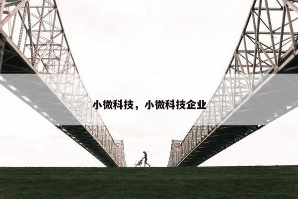小微科技，小微科技企业