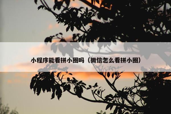 小程序能看拼小圈吗（微信怎么看拼小圈）
