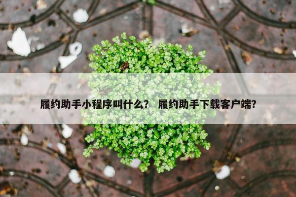 履约助手小程序叫什么？ 履约助手下载客户端？