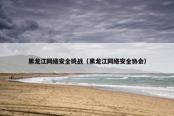 黑龙江网络安全挑战（黑龙江网络安全协会）