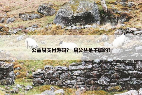 公益易支付源码？ 易公益是干嘛的？