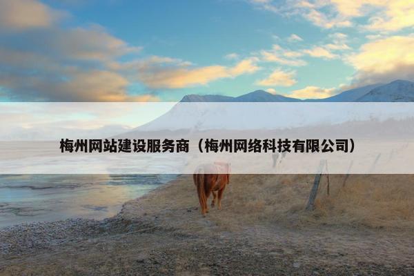 梅州网站建设服务商（梅州网络科技有限公司）