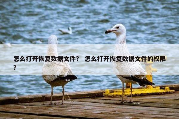 怎么打开恢复数据文件？ 怎么打开恢复数据文件的权限？