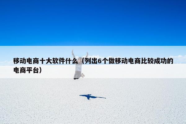 移动电商十大软件什么（列出6个做移动电商比较成功的电商平台）