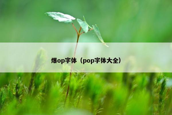 爆op字体（pop字体大全）